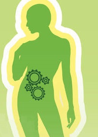 Čaje, kapsule na podporu metabolismu