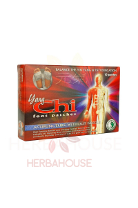 Dr.Chen Yang Chi detoxikačná náplasť (10ks) Obrázok pre Dr.Chen Yang Chi detoxikačná náplasť (10ks)