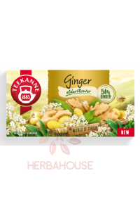 Teekanne Bylinkový čaj so zázvorom a bazovým kvetom (20ks) Obrázok pre Teekanne Bylinkový čaj so zázvorom a bazovým kvetom (20ks)